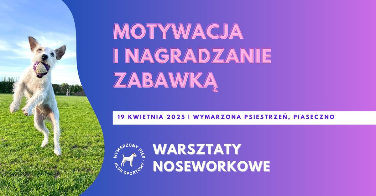 Warsztaty Nosework - Motywacja i nagradzanie zabawk\u0105