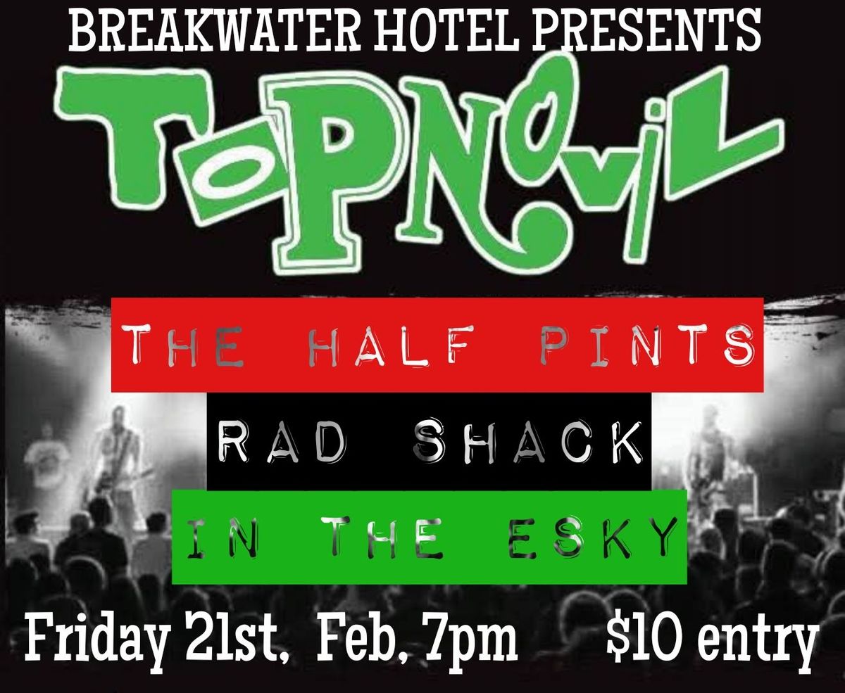 Topnovil, Half Pints, Rad Shack & In The Esky