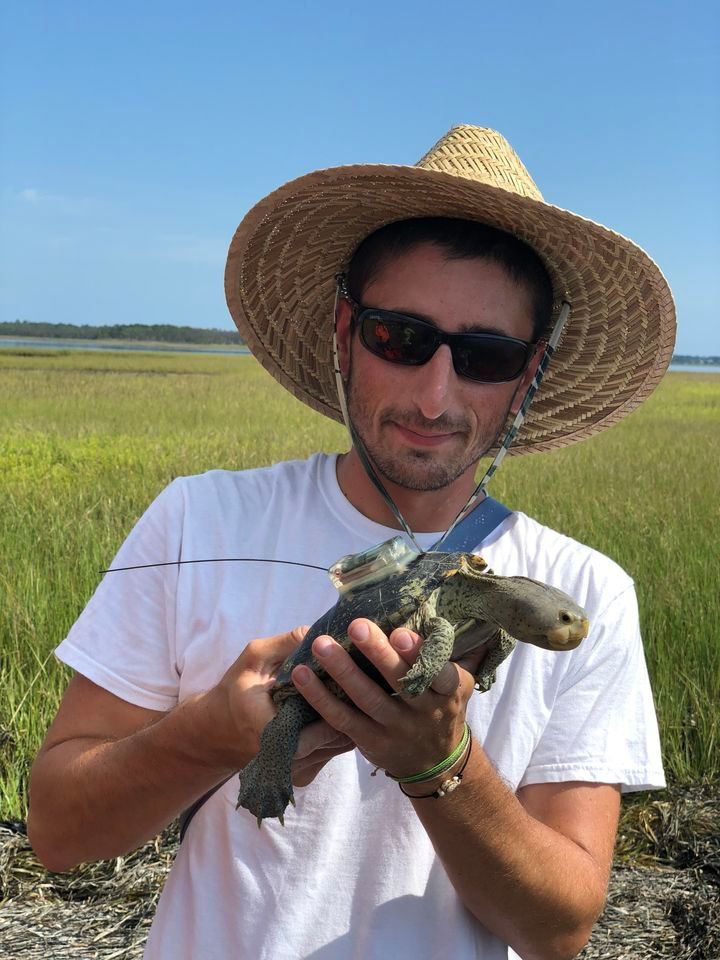 September Meeting-Dan Catizone, USGS Biologist: Terrapins, sea turtles, and gopher turtles