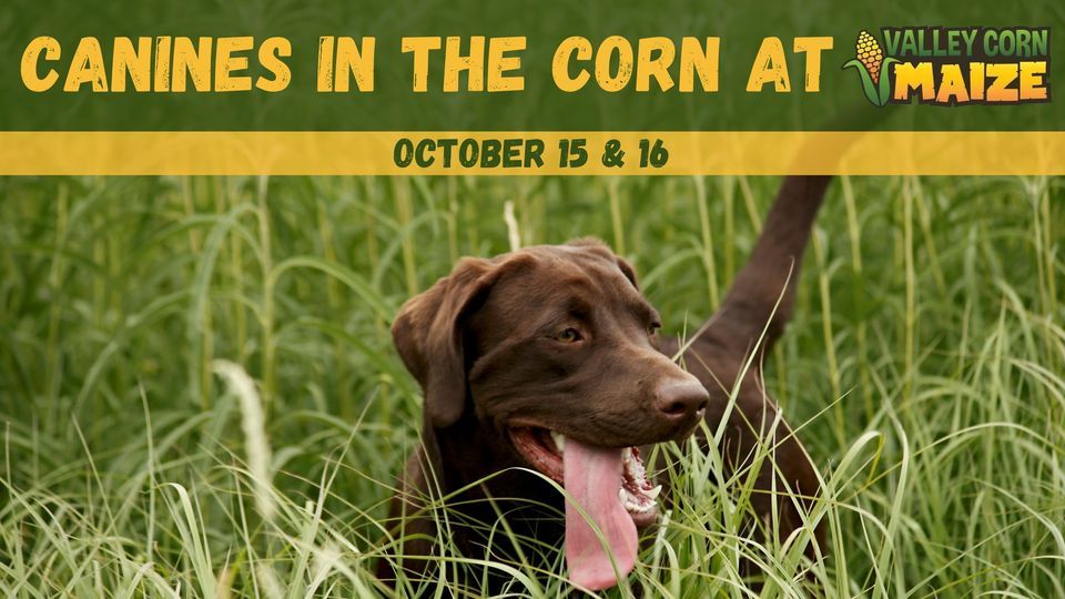 Canines in the Corn Event at Valley Corn Maize! , Valley Corn Maize, Grand Forks, 15 October 2022