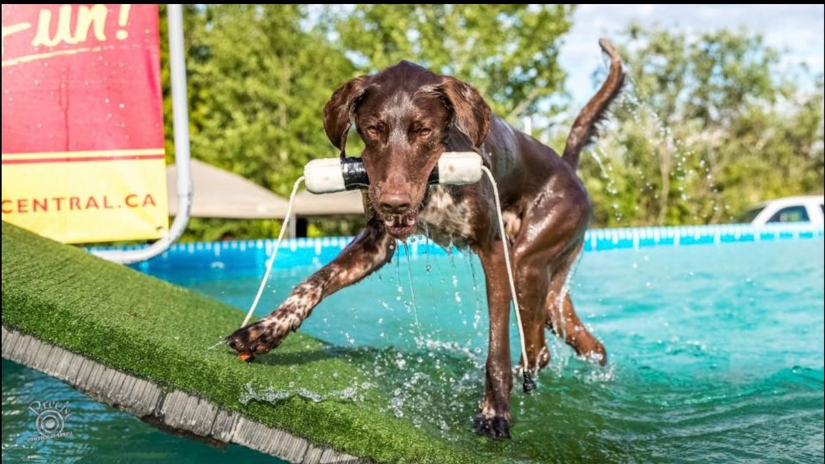 DockDogs Double Header - Save the Date