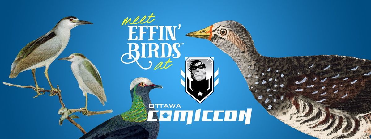 Effin\u2019 Birds at Ottawa Comiccon