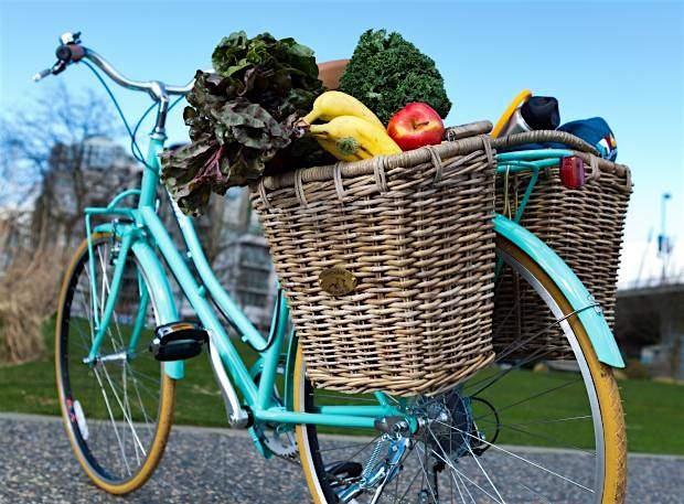 Bicycle Series #2: How to carry your groceries and more by bike!