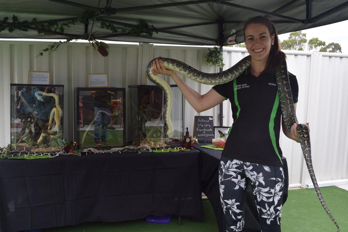 Slippery Snakes and Reptile Experience \u2013 Moe Library