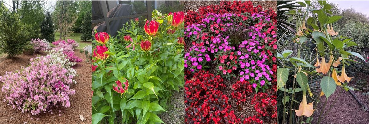 Garden Design for Year-Round Color