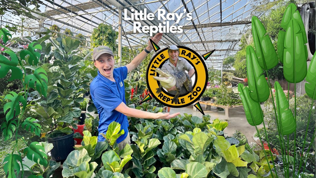 Little Ray's Reptiles \ud83e\udd8e\ud83d\udc22