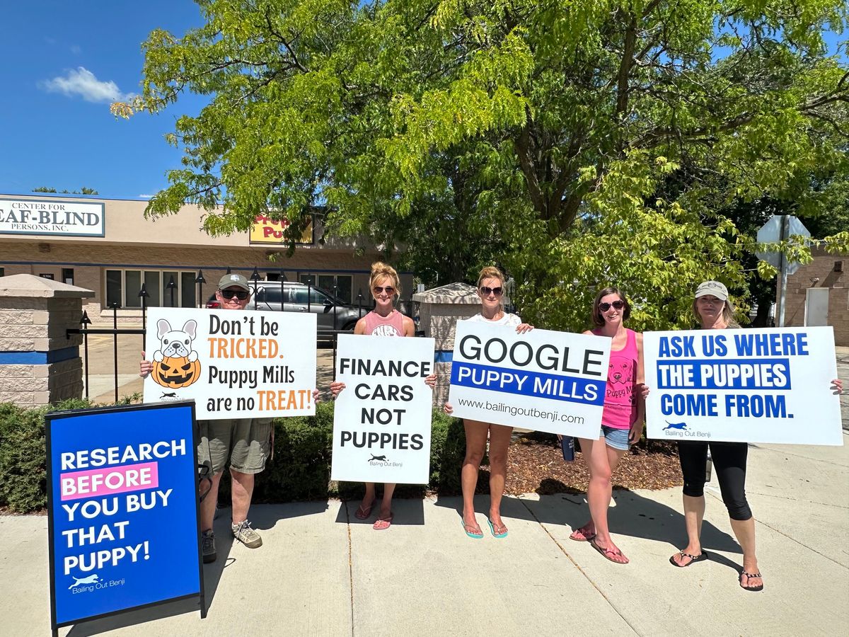 Peaceful Protest - Preppy Pups