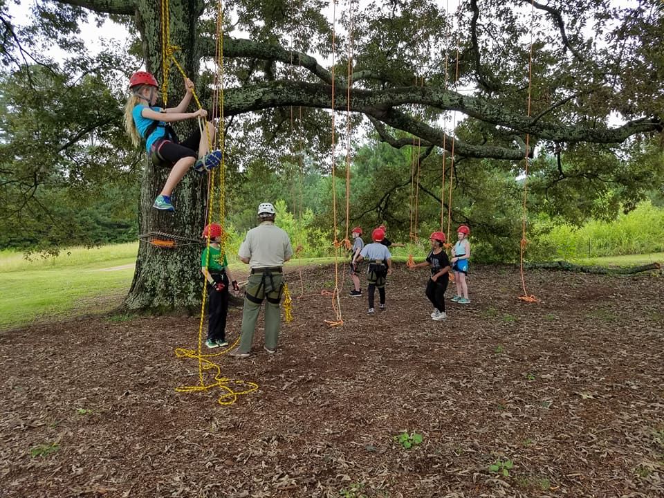 Introduction to Technical Tree Climbing