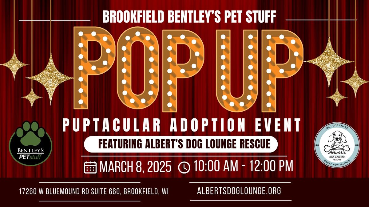 Brookfield Bentley's Pet Stuff Pop-Up Puptacular Adoption Event