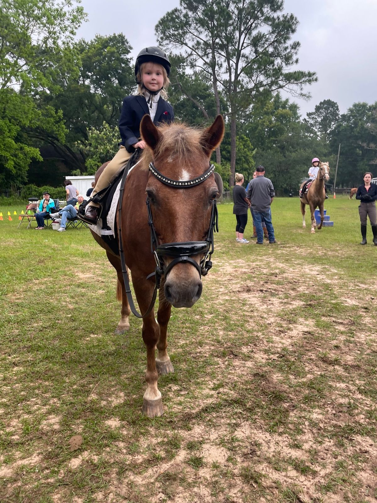 Fall schooling show 