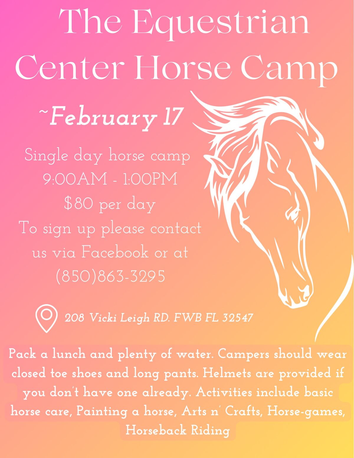 Winter Horse Camp