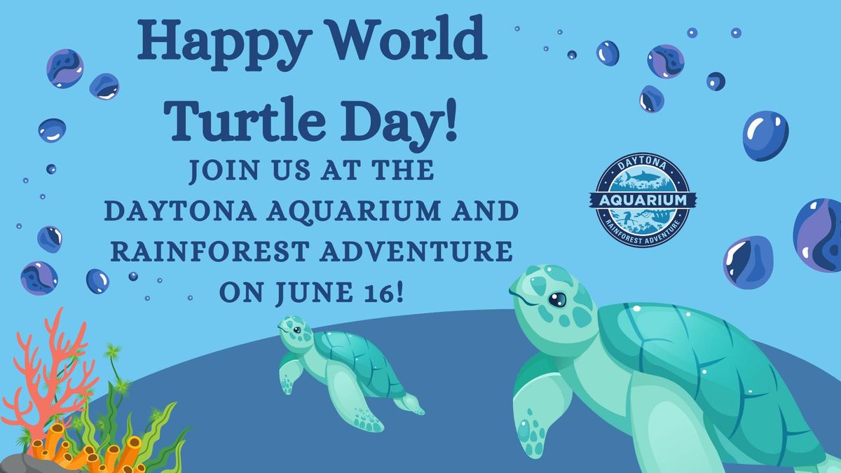 World Turtle Day!