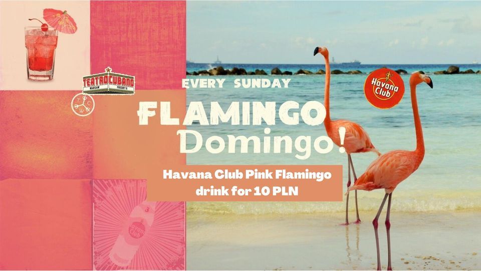 Flamingo Domingo @TeatroCubanoWarsaw