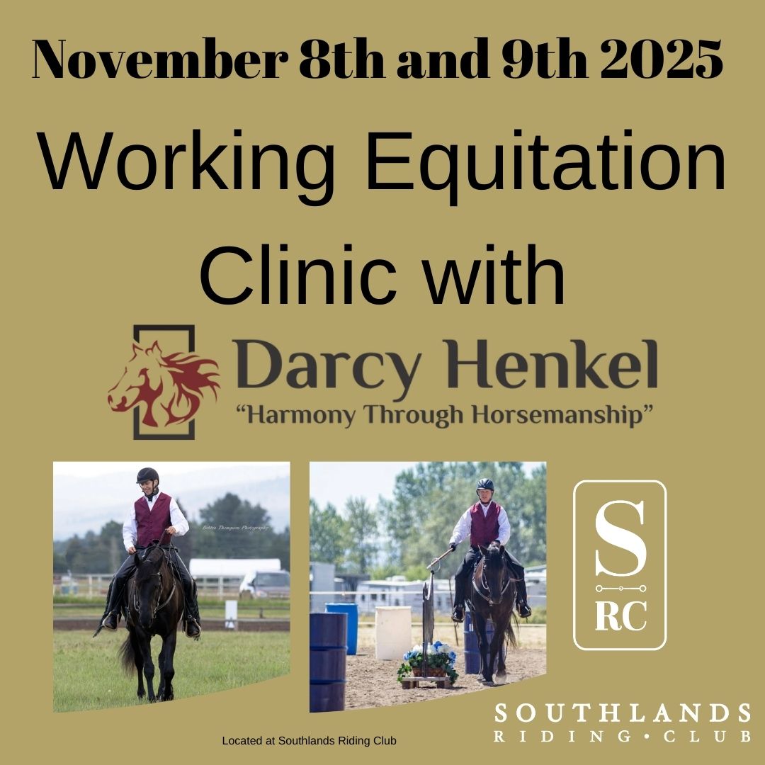 Darcy Henkel-Working Equitation Clinic 