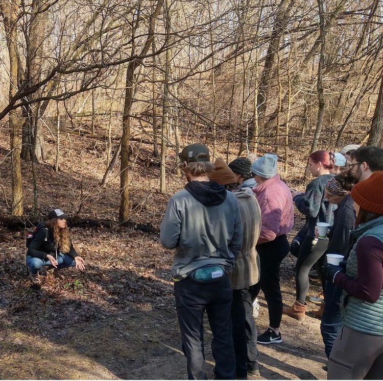 Foraging & Wild Tending Class