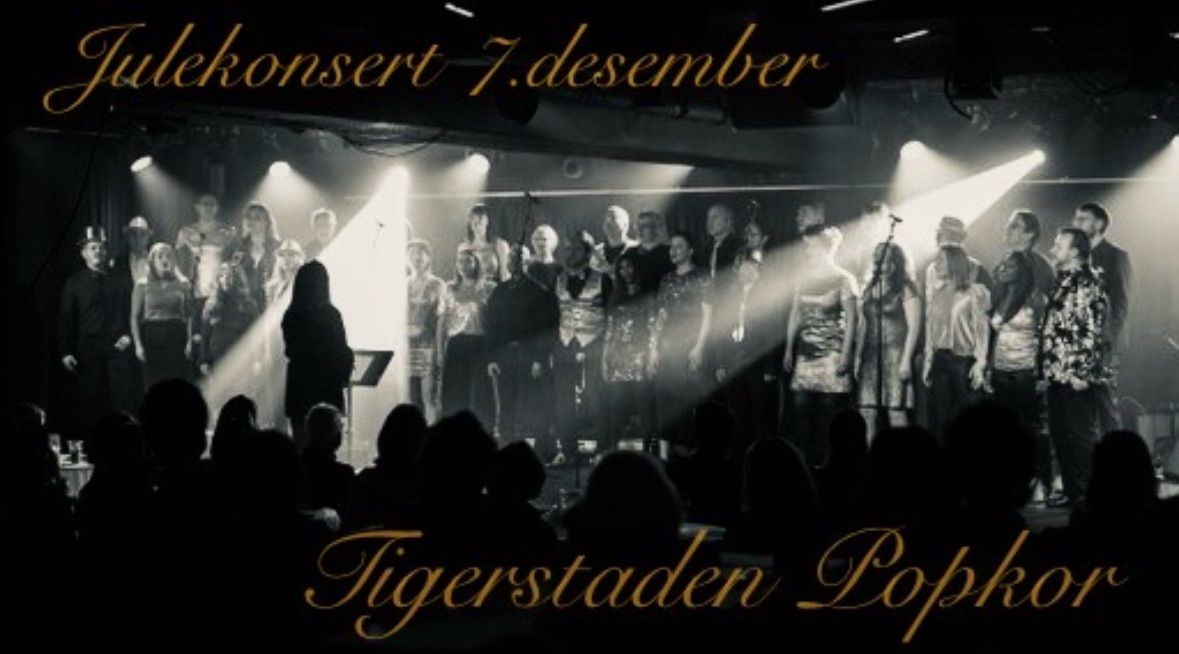 Julemagi med Tigerstaden Popkor