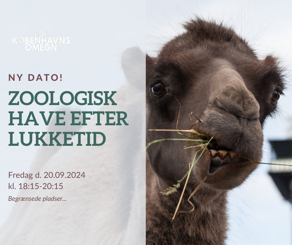 Zoologisk Have efter lukketid ????