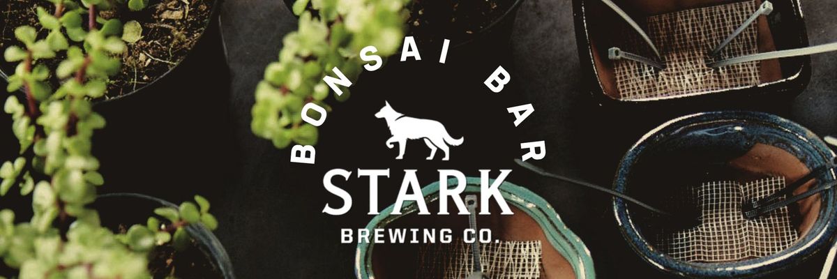 Bonsai Bar @ Stark Brewing Company