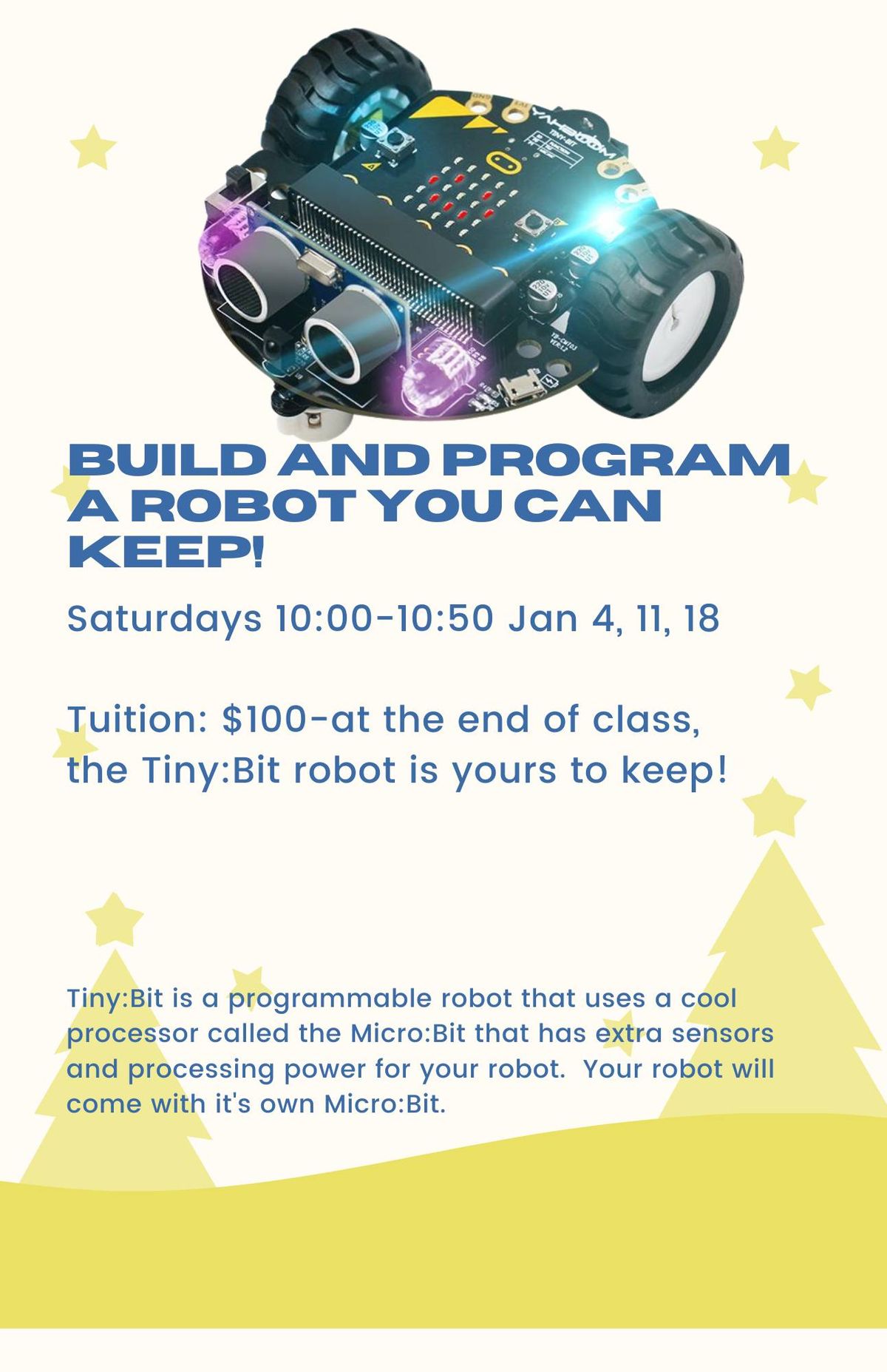 Tiny:Bit-Build a robot to keep!