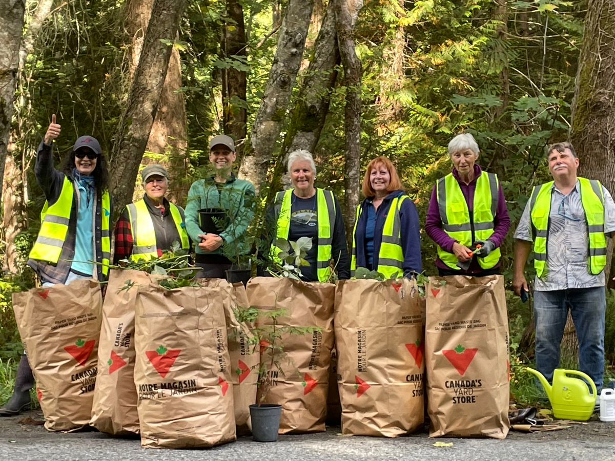 SC Streamkeepers Native Planting & Ivy Pull at Roberts Creek Estuary