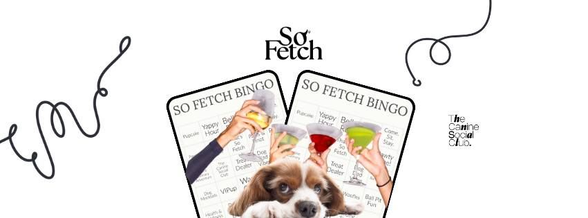 So Fetch BINGO Nights!