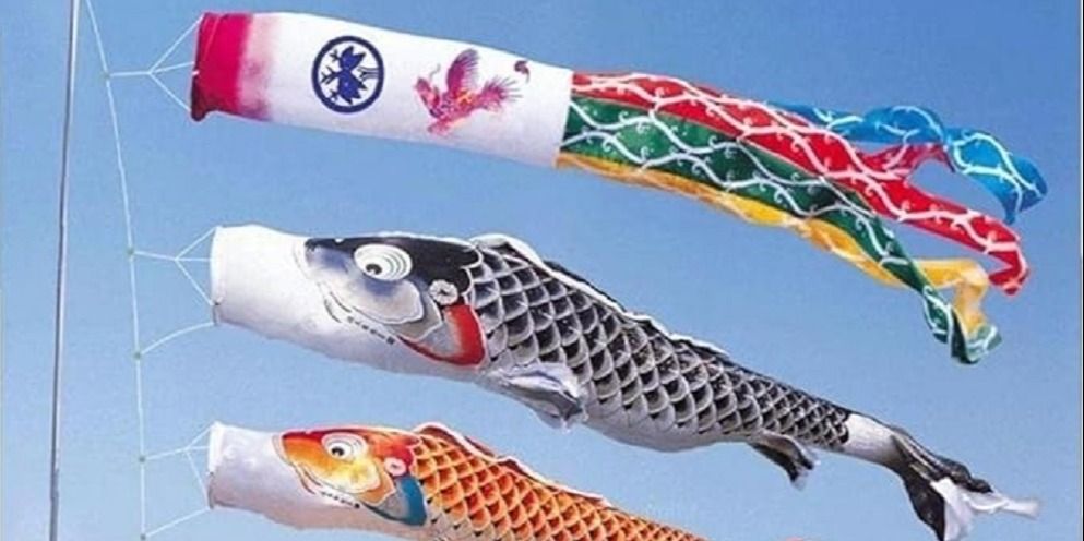 toi 3D Fish Kite making for kids