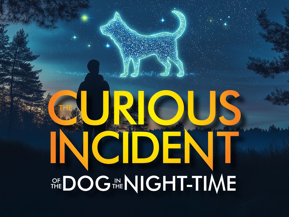 The Curious Incident of the Dog in the Night-Time