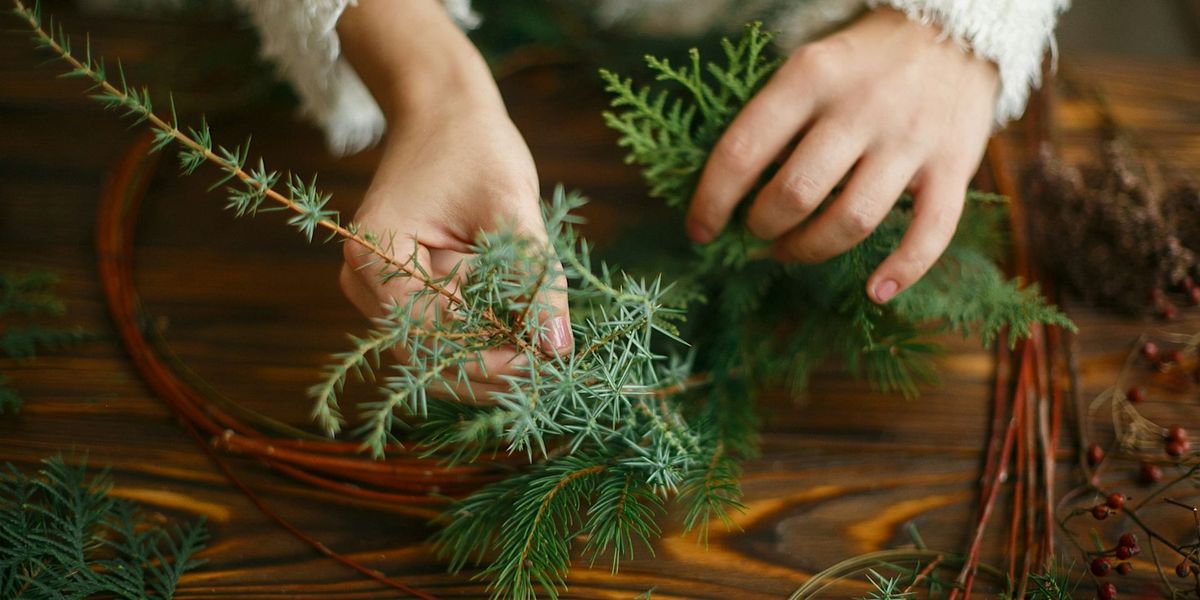 Christmas wreath making workshop and walk with The Foraged Farmacy