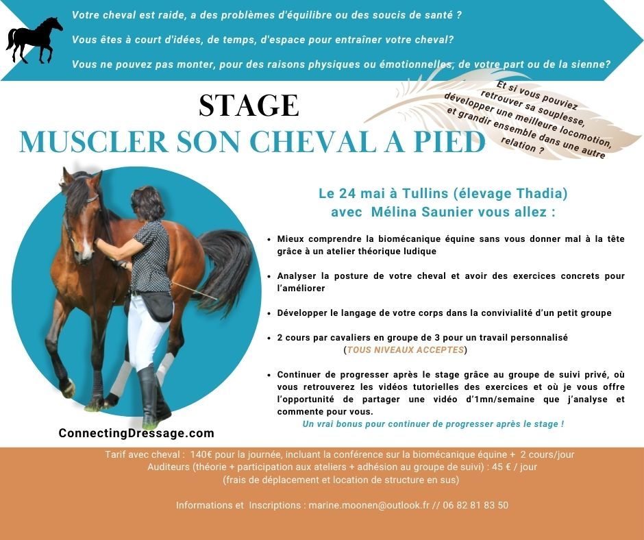 STAGE "Muscler son cheval \u00e0 pied" \u00e0 Tullins