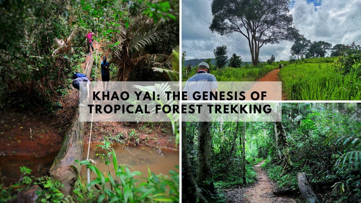 Khao Yai: The Genesis of Tropical Forest Trekking