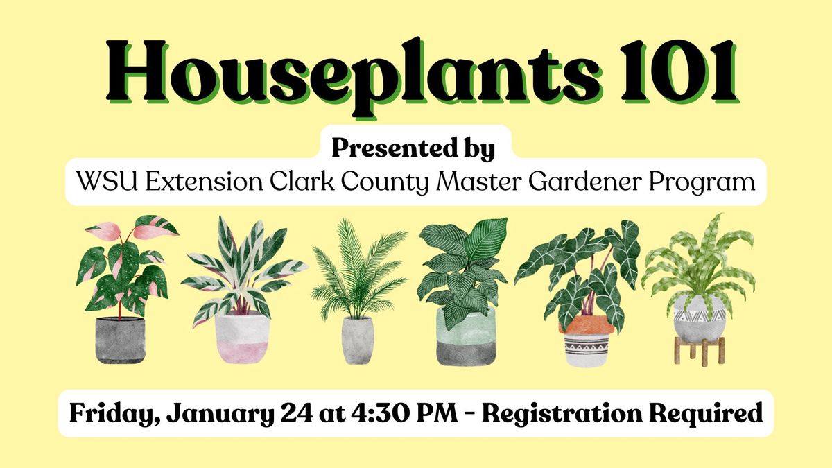 Houseplants 101