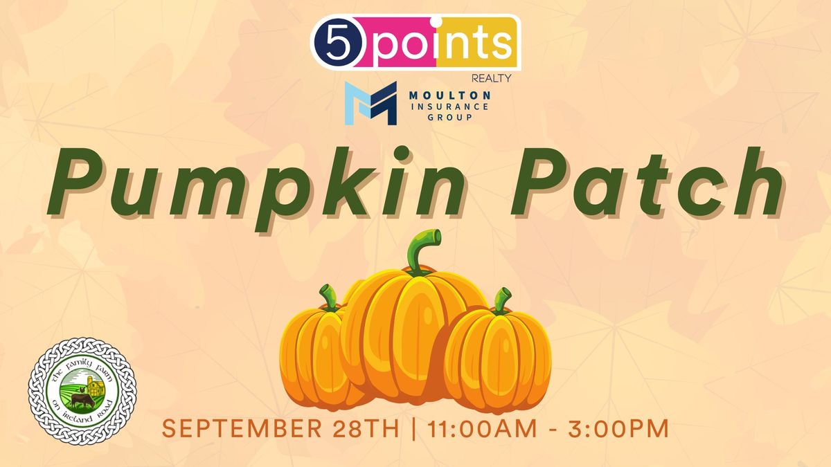 5 Points Realty Pumpkin Patch