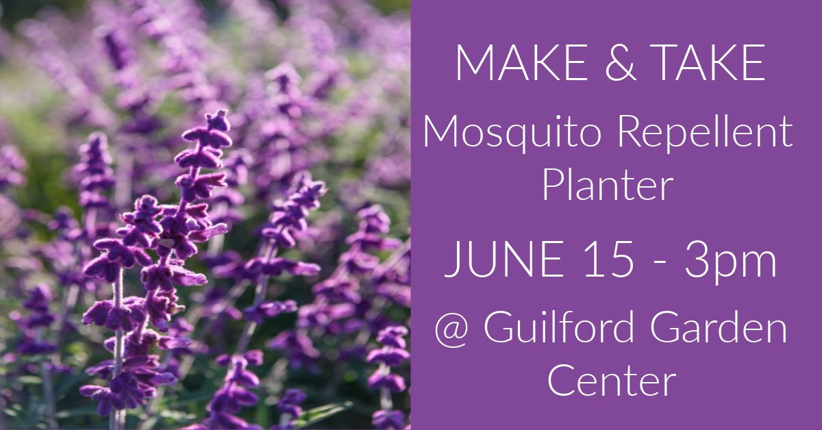 Make & Take Mosquito Repellent Planter
