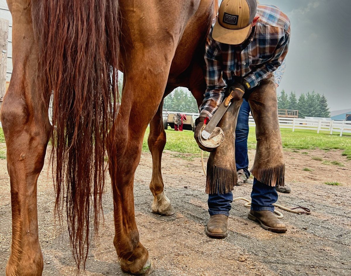Hoof Trimming Clinic - Langley BC - June 13-16, 2024