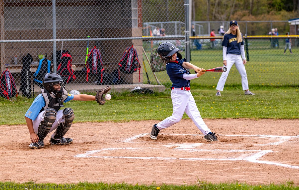 Lakeshore Majors Baseball Skills Clinic