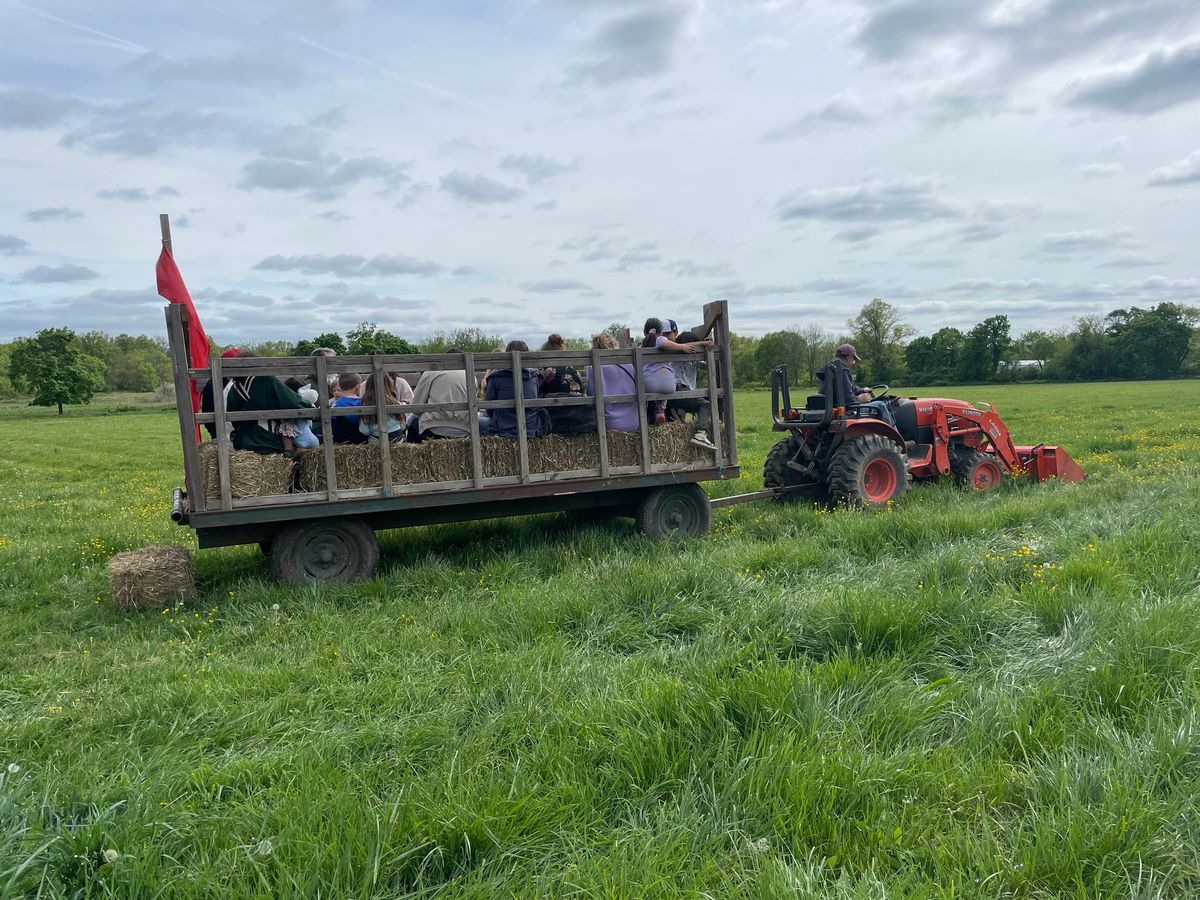 First Friday Farm Fun 