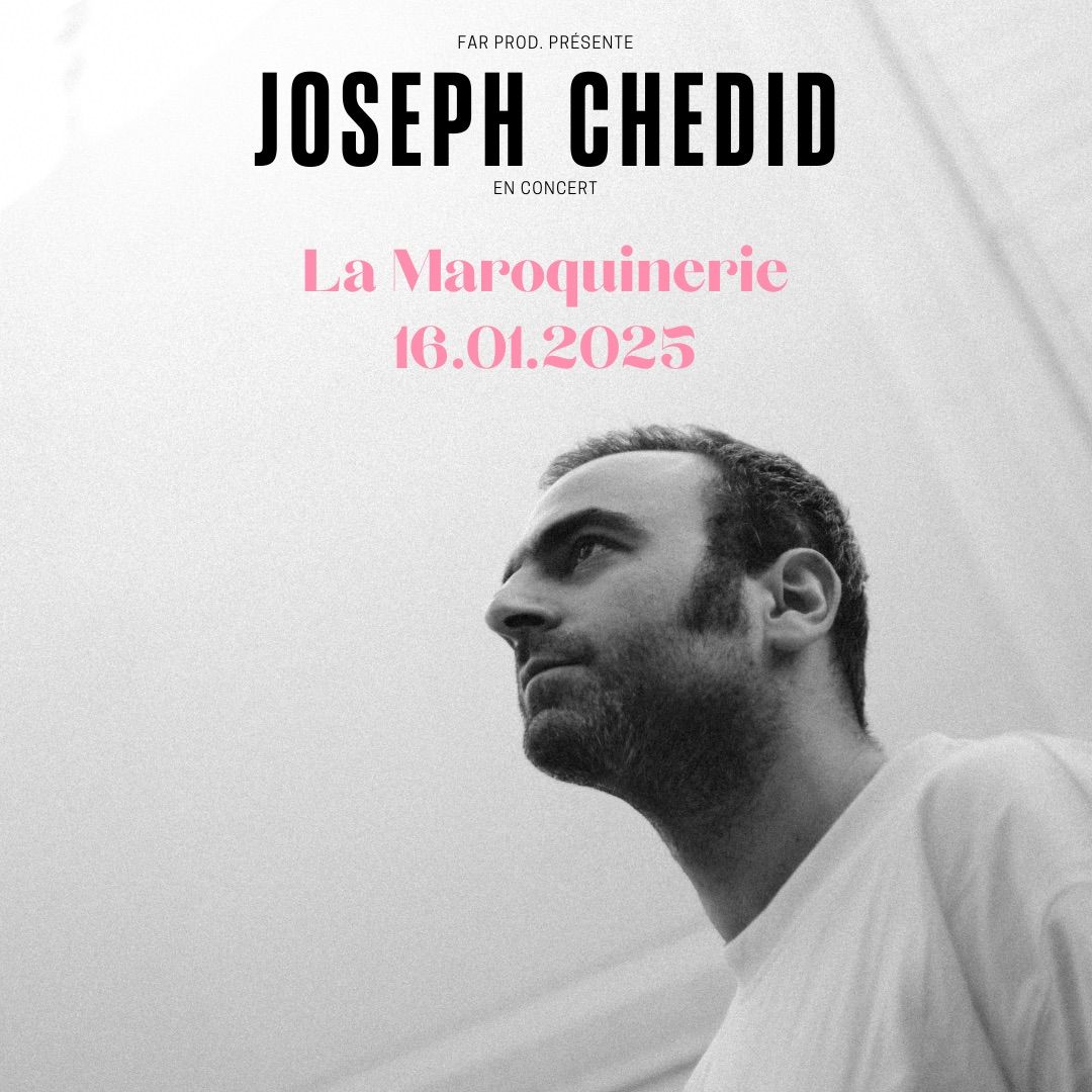 Joseph Chedid en Concert