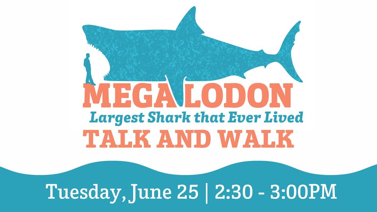 Talk and Walk: Megalodon: Largest Shark That Ever Lived