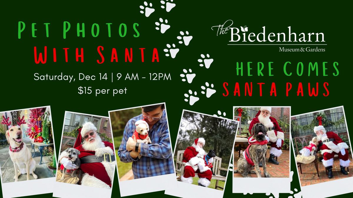 Pet Photos with Santa