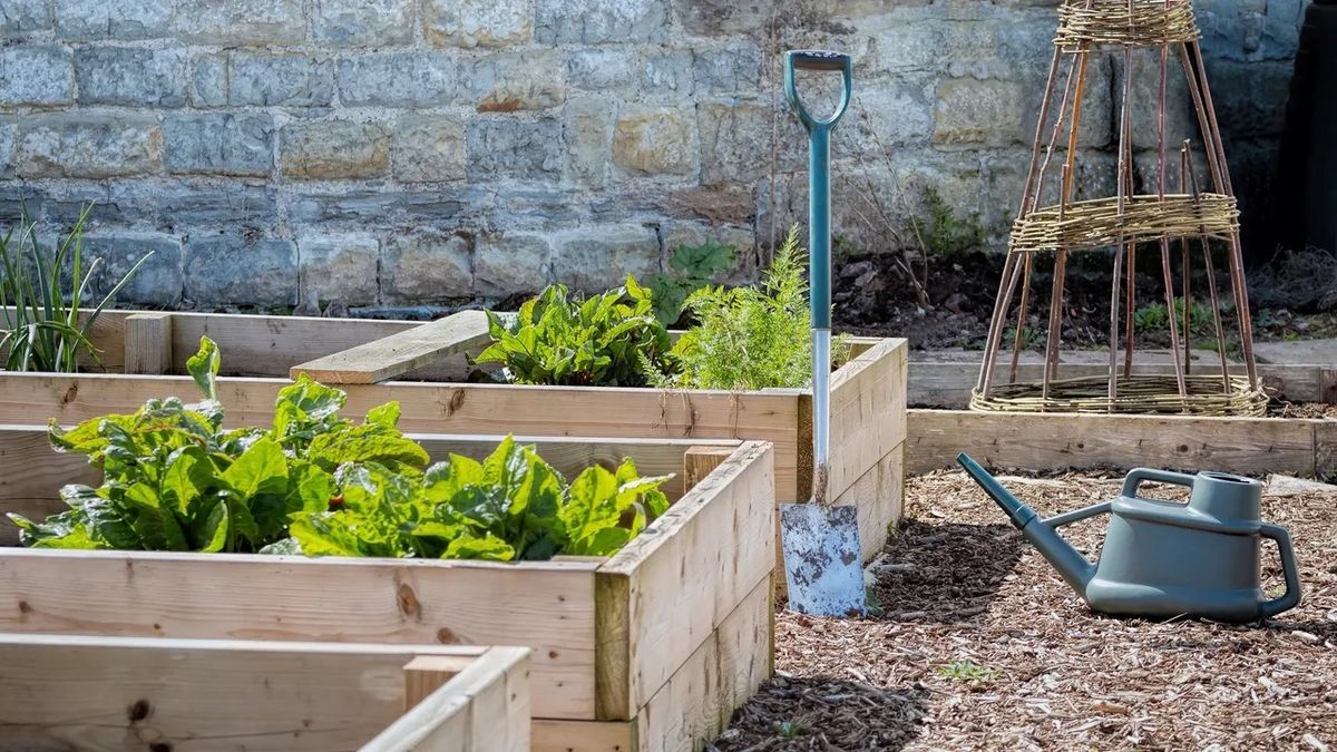 Class: Regenerative Yard & Garden Prep 