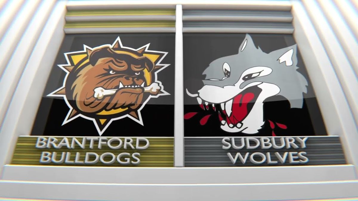 Sudbury Wolves at Brantford Bulldogs