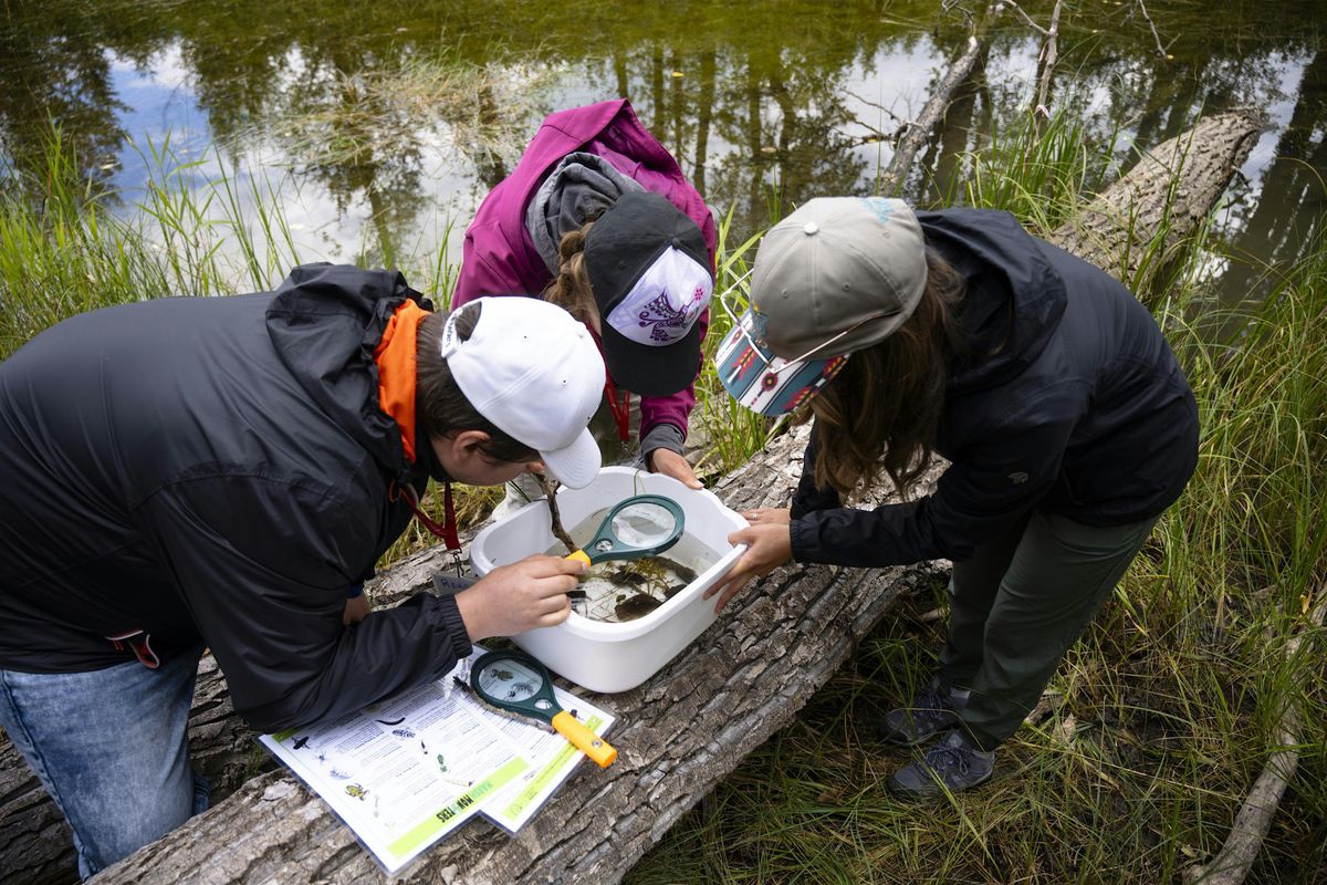 Exploring Wetlands: Educational Training for Ottawa Teachers (MacSkimming)