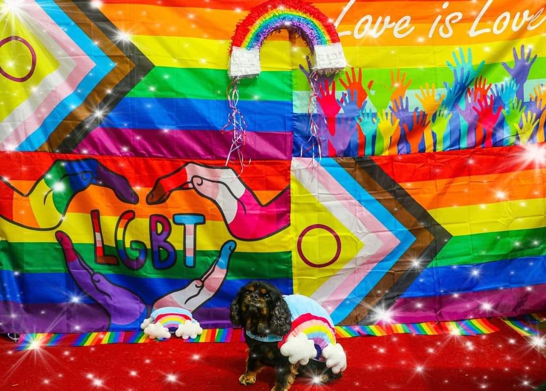 CK9 3rd Annual Love is Love, Puppy Pride Rainbow Parade!