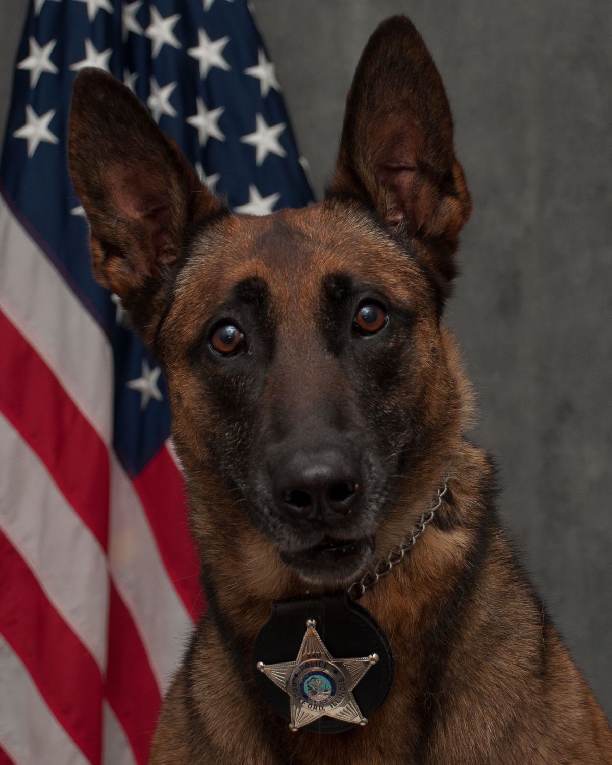 Honoring K-9 Nyx