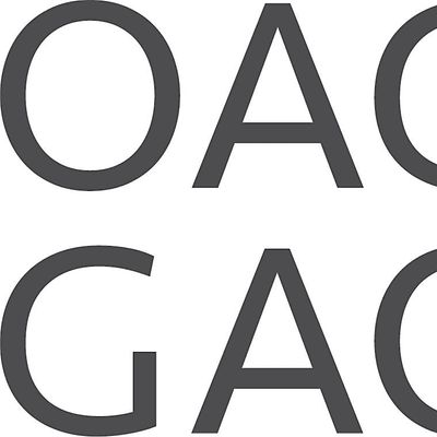 Ottawa Art Gallery | Galerie d'art d'Ottawa