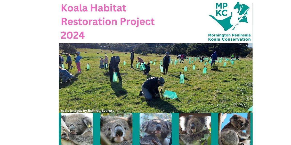 NATIONAL TREE DAY - Koala Food Tree Planting Day - Moorooduc