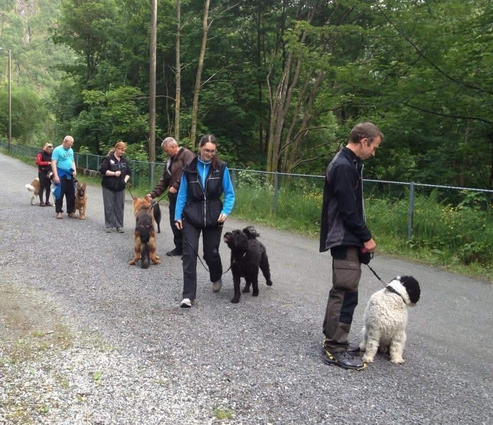 Passeringskurs & Den sprelske hunden 