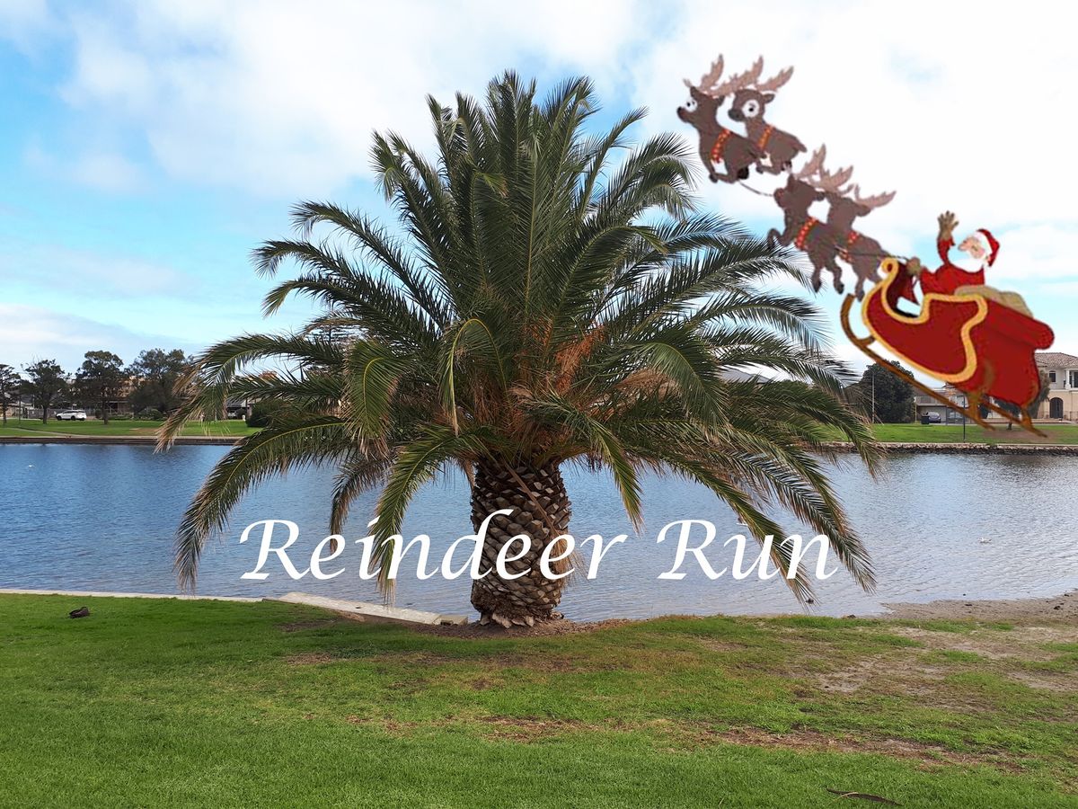 Reindeer Run 2024