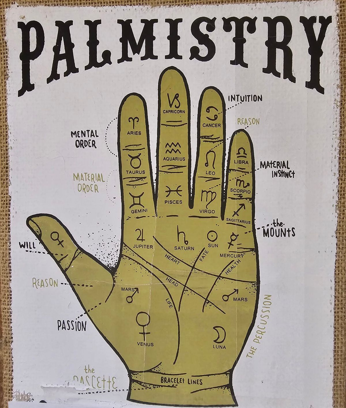 Palmistry Talk with Helen