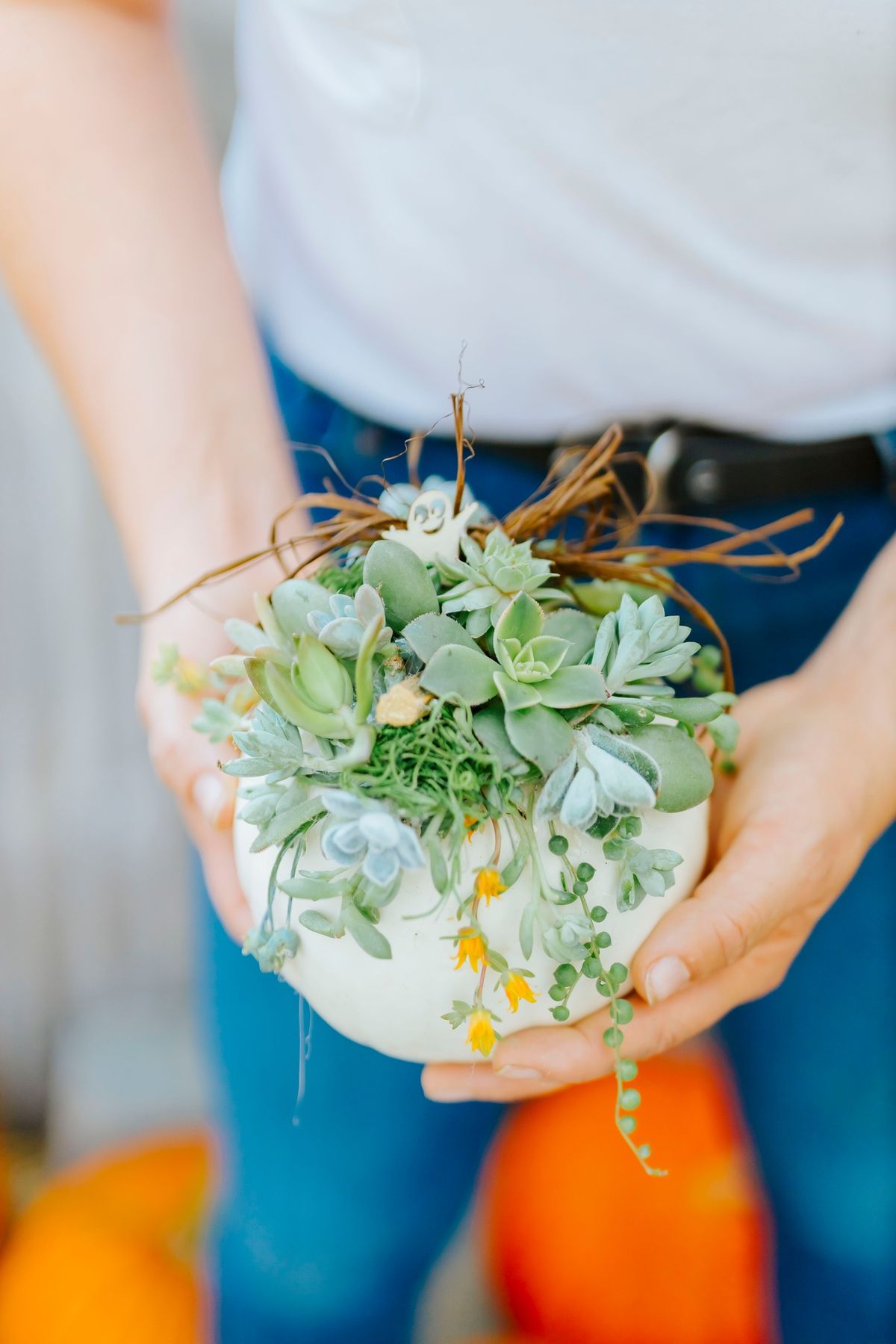 Small Succulent Pumpkin Make & Take Workshop